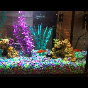 Meet your Posher, Angela